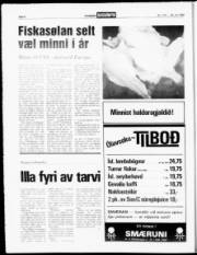 Síða 6