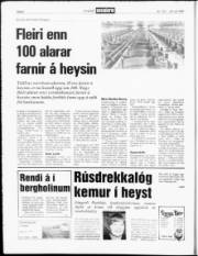 Síða 8