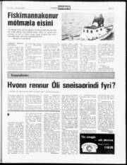 Síða 11