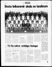 Síða 14