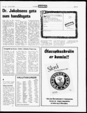 Síða 15