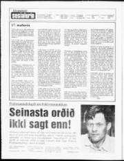 Síða 2