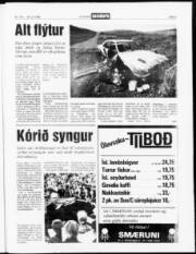 Síða 3
