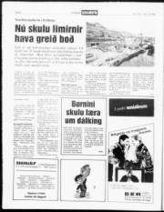 Síða 6