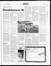 Síða 17