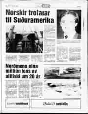 Síða 21