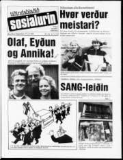 Síða 1