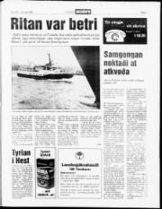 Síða 3