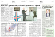 Síða 8