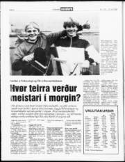 Síða 4