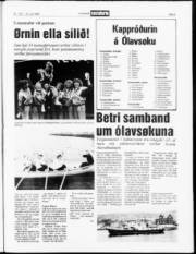Síða 5