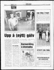 Síða 10