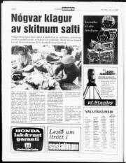 Síða 6