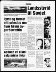 Síða 3