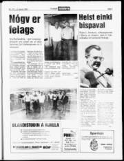 Síða 5
