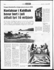 Síða 6