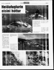 Síða 13