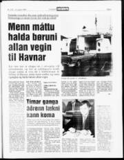 Síða 3