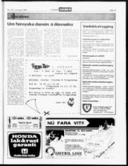 Síða 19