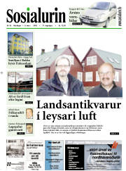 Síða 1