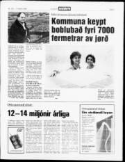 Síða 3