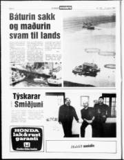 Síða 4