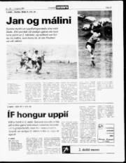 Síða 13