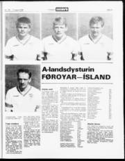 Síða 19