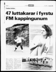 Síða 20