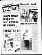 Síða 1