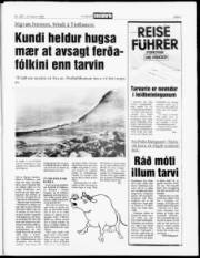 Síða 3