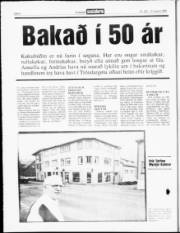 Síða 4