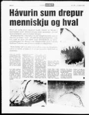 Síða 10