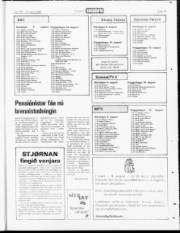 Síða 19