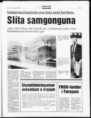 Síða 5