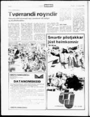 Síða 8