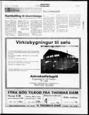 Síða 17