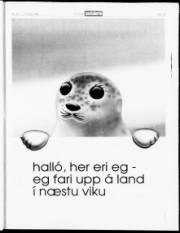 Síða 19