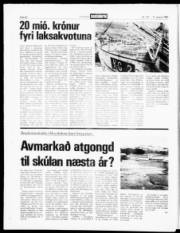 Síða 20