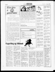Síða 22