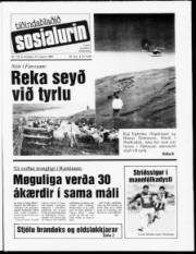 Síða 1