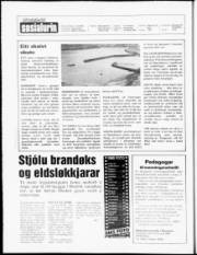 Síða 2