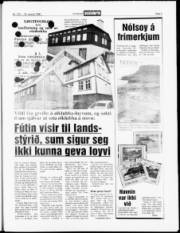Síða 3