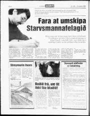 Síða 4
