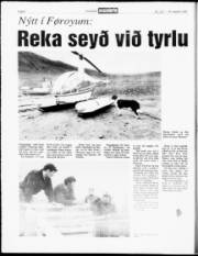 Síða 6