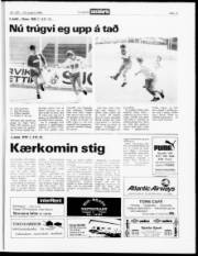 Síða 13