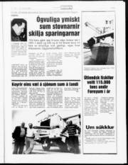Síða 5