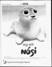 Síða 17