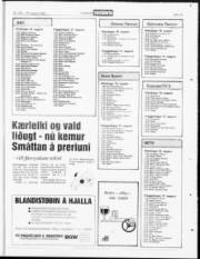 Síða 19