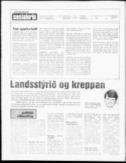 Síða 2